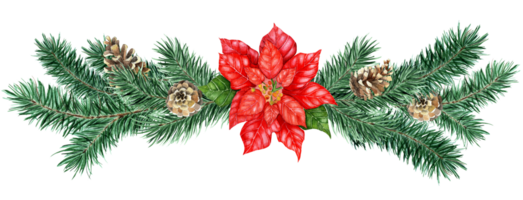 Watercolor Christmas decor poinsettia, tree, pine cones. Watercolor Christmas pine tree, fir decor with poinsettia isolated. Drawn by hand. png