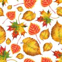 Seamless pattern of autumn leaves. Birch, elm, maple.Watercolor illustration, isolated. Drawn by hand. png