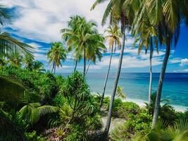 Aerial view of beautiful Maldives tropical beach on island. Summer and travel vacation concept. photo