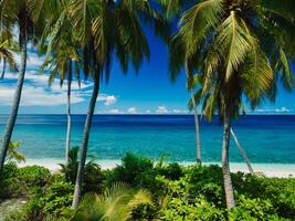 aéreo ver de paraíso Maldivas tropical playa con Coco palmas en isla. verano y viaje vacaciones concepto. foto