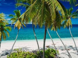 Tropical Maldives tropical beach on island. Travel vacation concept. photo