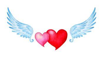 Watercolor illustration of two hearts pink and red with angel wings. Valentine's day, wedding, love symbol. Isolated. Drawn by hand. png