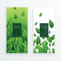 green leaves card design set vector