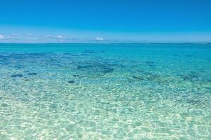 Tropical scenery - beach with transparent ocean and blue sky of Mauritius photo