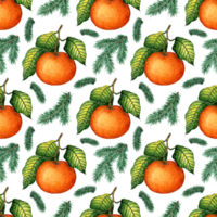 Watercolor painting pattern of ripe tangerine with green leaves and spruce branches. Seamless repeating juicy citrus print. Winter seasonal fruits. Vitamin food isolated. hand-drawn. png