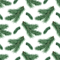 Watercolor painting pattern green spruce branches. Seamless repeating botanical print for Christmas and New Years. Seasonal wallpaper, winter vacation, textile fabric, texture, paper design, ecology. png