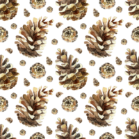 aguarela botânico desatado padronizar com pinho cones. mão pintado inverno feriado plantas isolado. floral ilustração para projeto, imprimir, tecido ou fundo. png