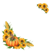 girasoli, zucca, Mais acquerello pittura angolo telaio. autunno telaio, ringraziamento, raccogliere Festival, giallo fiori. botanico confine isolato. disegnato a mano. png