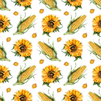 Watercolor pattern illustrations of corn, sunflowers and leaves. Seamless repeating harvest festival print. Thanksgiving Day. Isolated. Drawn by hand. png