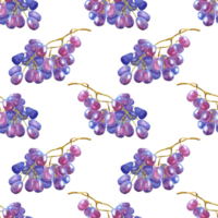 Watercolor painting pattern blue grapes. Seamless repeating Vinigrad bunch print. Design elements for wine labels or packaging. Isolated. Drawn by hand. png