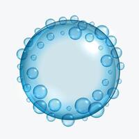 circular water bubbles frame background vector