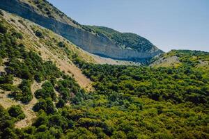 Aerial view of canyon with cliffs and trees in Greece photo