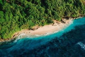 Tropical beach with ocean in Bali. Aerial view of Green bowl beach photo