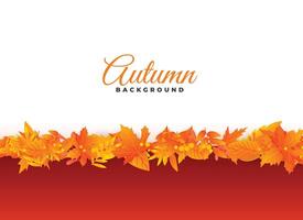 elegant autumn background leaves design vector