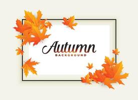 beautiful autumn background with text space vector