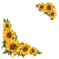 zonnebloemen waterverf schilderij hoek kader. herfst kader, dankzegging, oogst festival, geel bloemen. botanisch grens geïsoleerd. getrokken door hand- . png