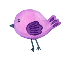 Watercolor painting doodle lilac bird. Cartoon style cartoon cute bird. Colorful decorative element for the design of cards, invitations, textiles, fabrics. Isolated. Drawn png
