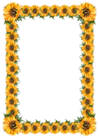 Sunflowers watercolor painting rectangular frame. Autumn frame, thanksgiving, harvest festival, yellow flowers. Botanical border isolated. Drawn by hand. png