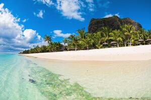 Beautiful view of the luxury beach in Mauritius. Transparent ocean, beach, palms and sky photo