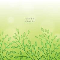 green floral beautiful design background vector