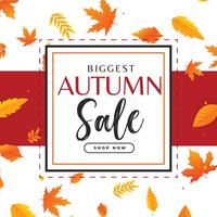 autumn sale background with leaves pattern vector