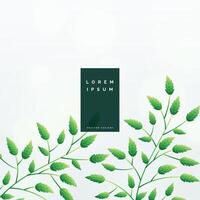 elegant green leaves background design vector