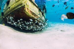 Tropical ocean with wreck of boat on sandy bottom and school of fish, underwater photo