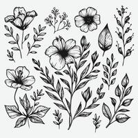 Botanical Elegance a Collection of Floral Outlines vector