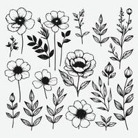 Botanical Elegance a Collection of Floral Outlines vector