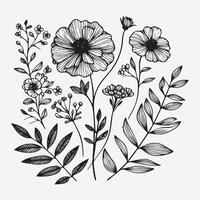 Botanical Elegance A Collection of Floral Outlines vector