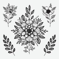 Botanical Elegance A Collection of Floral Outlines vector