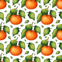 Watercolor painting pattern of ripe tangerine with green leaves. Seamless repeating juicy citrus print. Winter seasonal fruits. Vitamin food isolated. hand-drawn. png