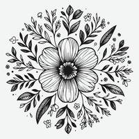 Botanical Elegance a Collection of Floral Outlines vector