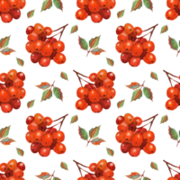 Watercolor painting of rowan and leaf pattern. Seamless repeating autumn print of bunch of berries and leaves. Perfect for wallpapers, gift papers, patterns, web page backgrounds, autumn greeting png