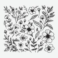 Botanical Elegance A Collection of Floral Outlines vector