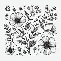 botánico elegancia un colección de floral contornos vector