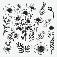 Botanical Elegance A Collection of Floral Outlines vector