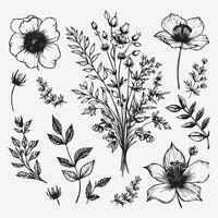 Botanical Elegance A Collection of Floral Outlines vector