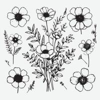 Botanical Elegance A Collection of Floral Outlines vector