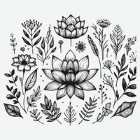 botánico elegancia un colección de floral contornos vector