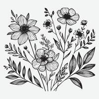 Botanical Elegance a Collection of Floral Outlines vector