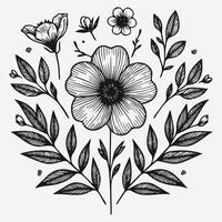 Botanical Elegance a Collection of Floral Outlines vector