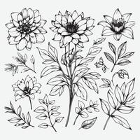 Botanical Elegance A Collection of Floral Outlines vector