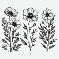 Botanical Elegance a Collection of Floral Outlines vector