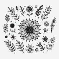 Botanical Elegance A Collection of Floral Outlines vector