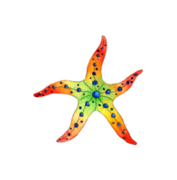 Watercolor painting rainbow starfish. Ocean, marine animals. Inhabitant of the sandy seabed. Five rays of the star. Isolated. Drawn by hand. png