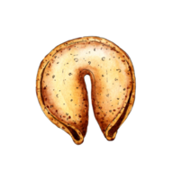 förmögenhet kaka vattenfärg målning. kinesisk Semester småkakor. kinesisk ny år. spådom småkakor med förmögenhet talande. isolerat. dragen förbi hand. png