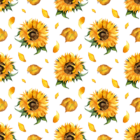 Watercolor illustration of a floral pattern of sunflower and leaves. Seamless repeating print of botanical floral background. Design elements flowers, buds and leaves. Isolated. Drawn by hand. png