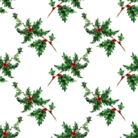 Watercolor illustration of a holly pattern. Seamless repeating holiday New Year and Christmas print. Ever green leaves and red berries. Isolated. Drawn by hand. png