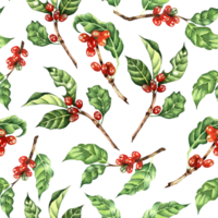 Aquarell Illustration Kaffee Baum, Zweig, Blätter, Bohnen. nahtlos wiederholen Muster Natur einfach drucken, skizzieren von tropisch Blumen isoliert. gezeichnet durch Hand. png